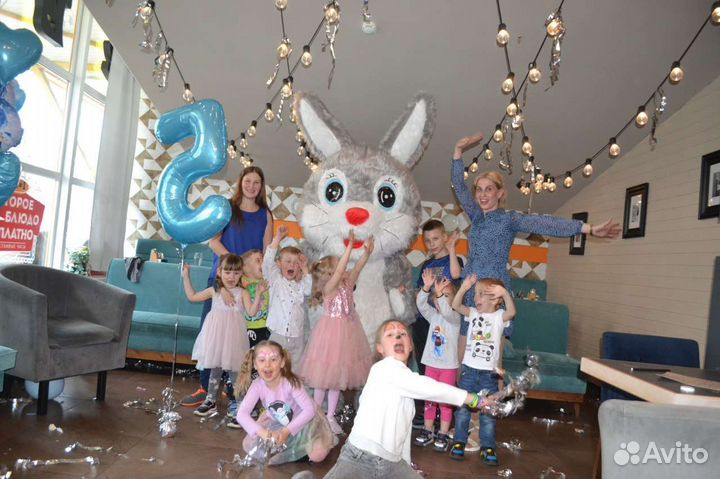 Мишка Колпино, Поздравление