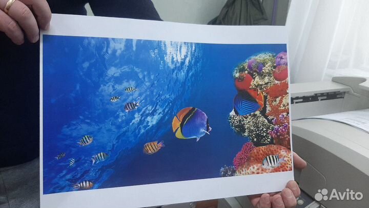 Оперативная печать чертежей