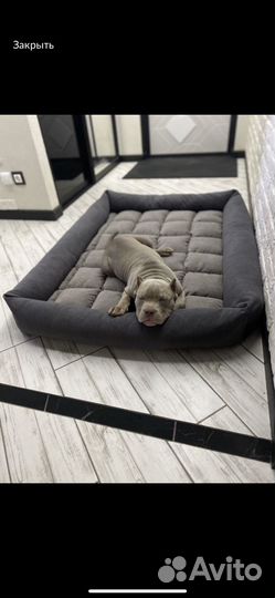 Лежак для большой собаки