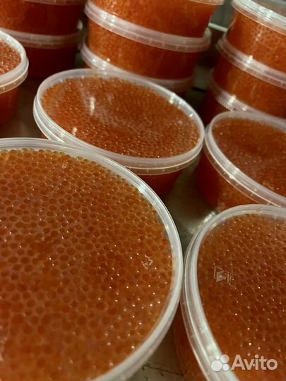 Красная икра