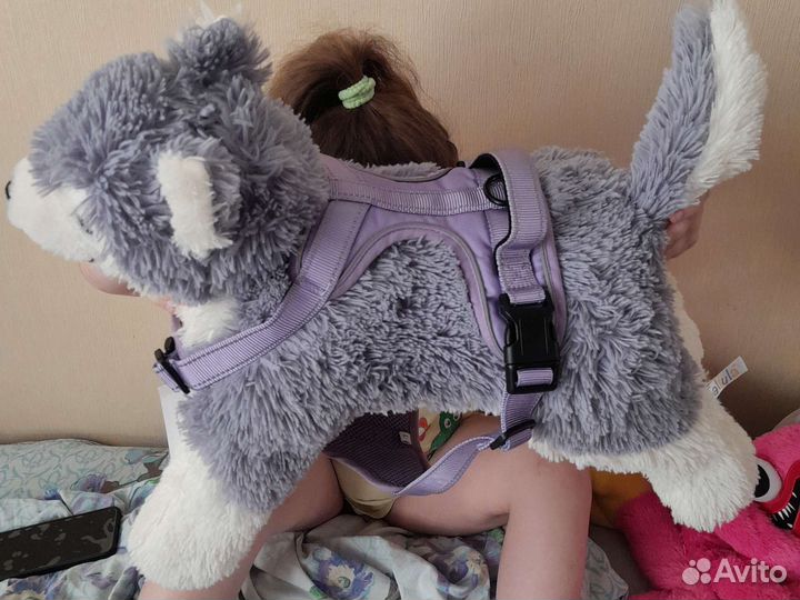 Шлейка для собаки, рр L