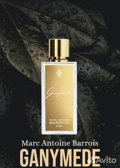 Ganymede Marc-Antoine Barrois