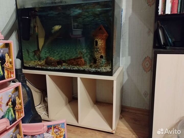 Аквариум