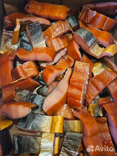 Кета горбуша