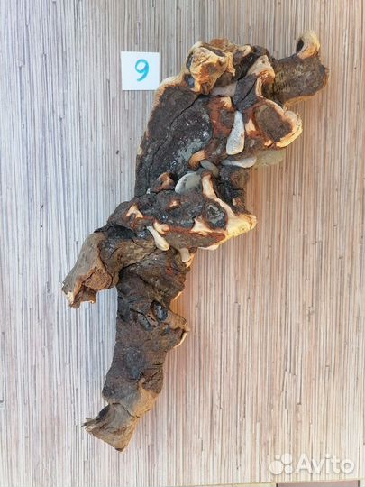 Коряга дрифтвуд с камнями