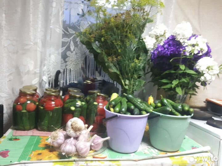 Свежие огурчики чесночок все с огорода