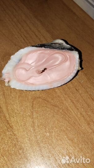 Свеча в ракушке