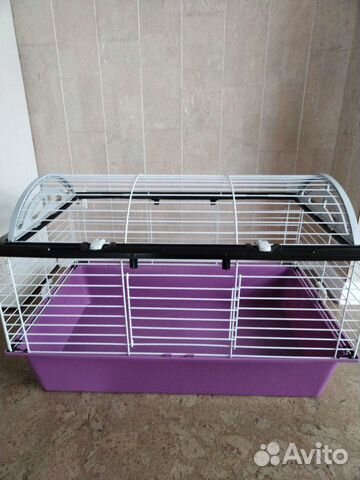 Клетка для кролика или морской свинки