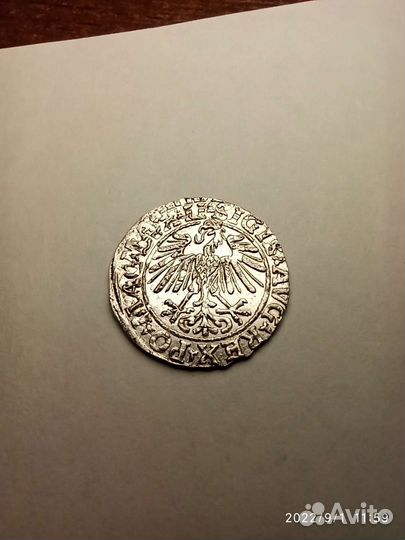 Полугрош 1548 года