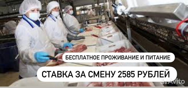 Работа вахтой с проживанием и питанием