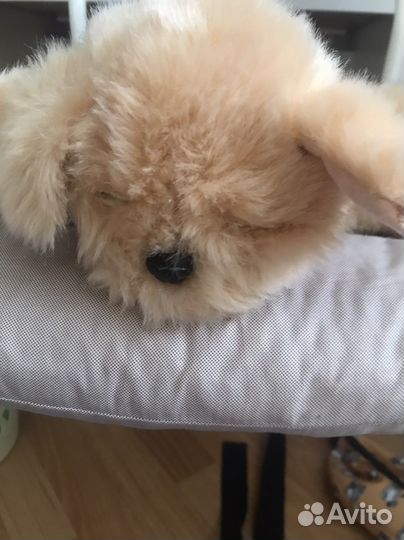 Интерактивная собака