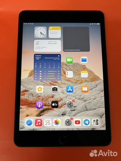 iPad mini 5 256gb cellular
