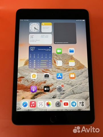 iPad mini 5 256gb cellular