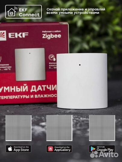 Умный датчик температуры и влажности Zigbee EKF