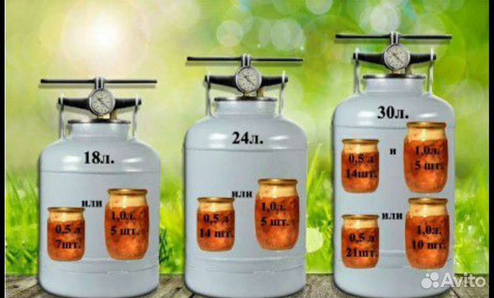 Автоклав Беларусь Новый 30 лит