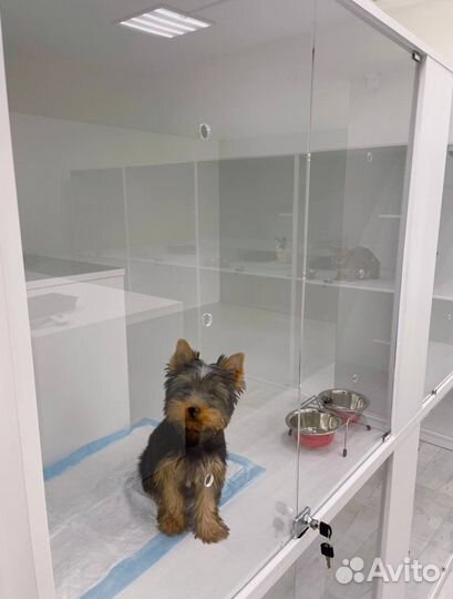 Гостиница для животных