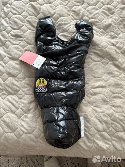 Одежда для собак мелких пород