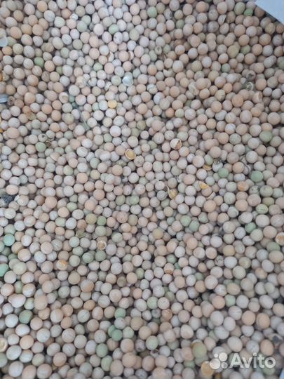 Овёс,ячмень,втм,пшеница