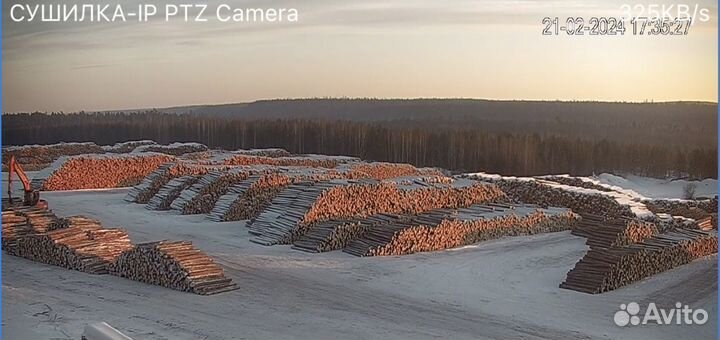 Лес кругляк