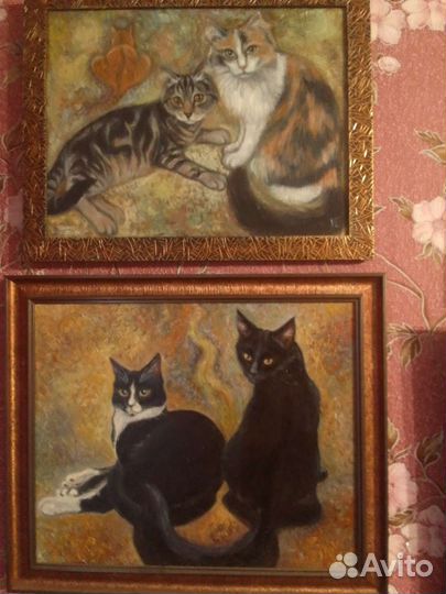 Лучший подарок