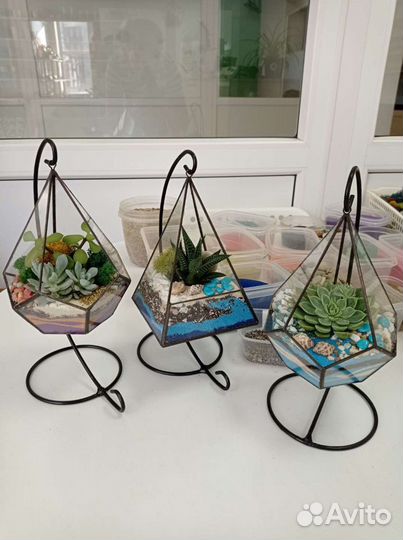 Флорариум подвесной