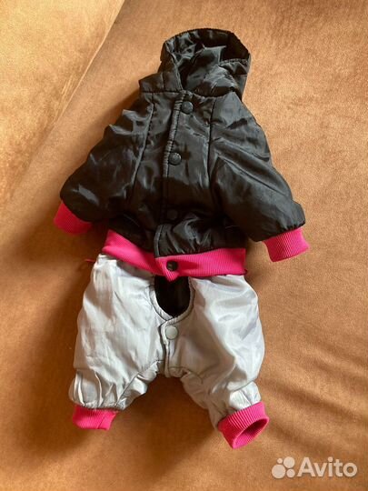 Одежда для собак