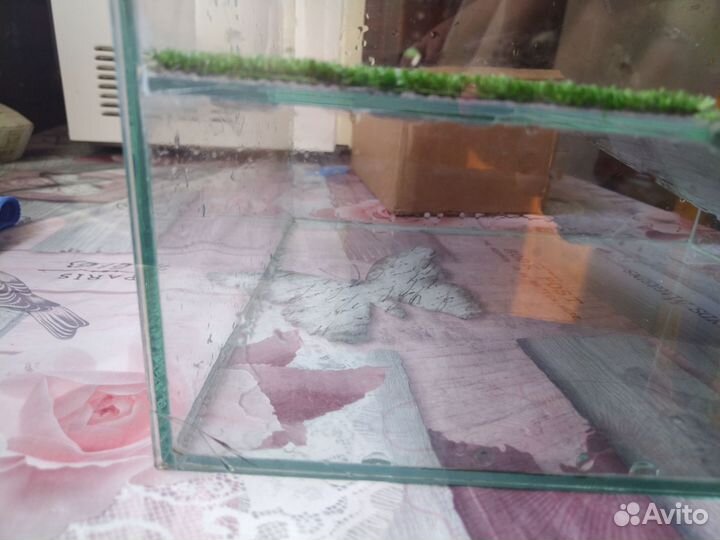 Аквариум для черепах