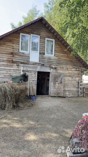 Постой на домашней конюшне