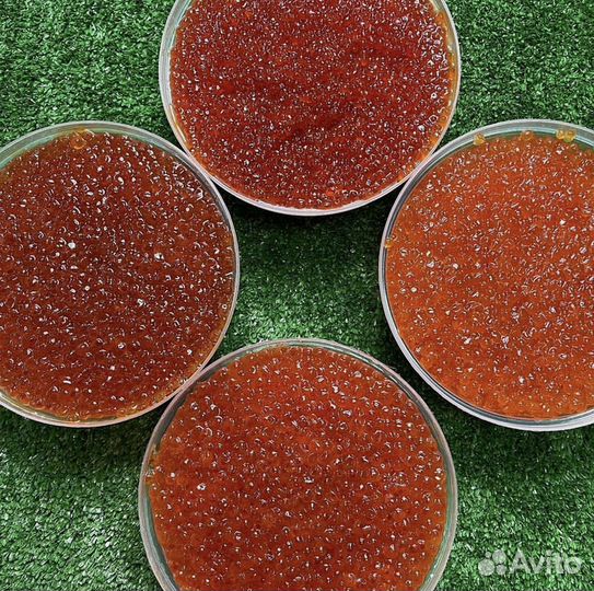 Красная икра Форели 250 г. в розницу в Москве