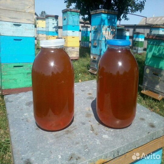 Мед разнотравье 2023