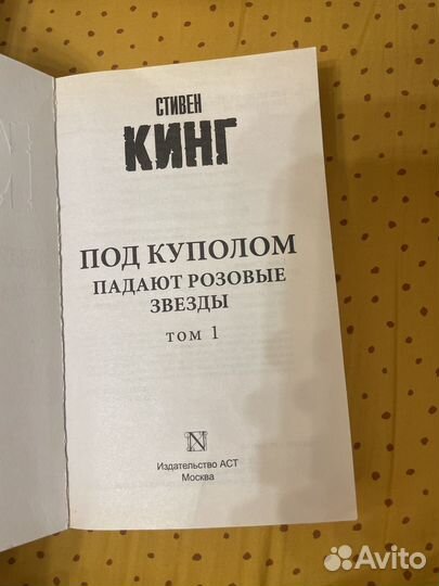 Книга «Под куполом падают рощовые звезды»