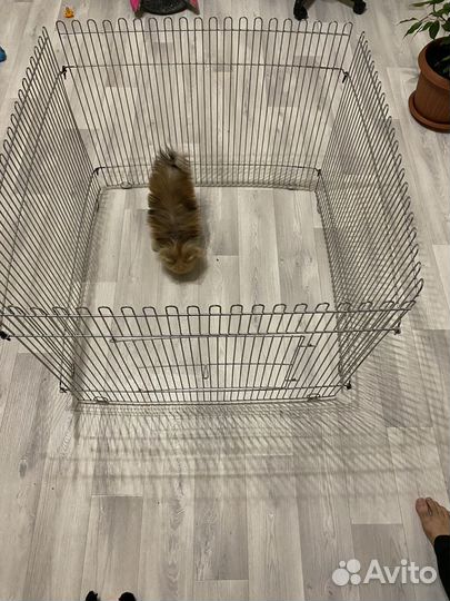 Вольер для собак