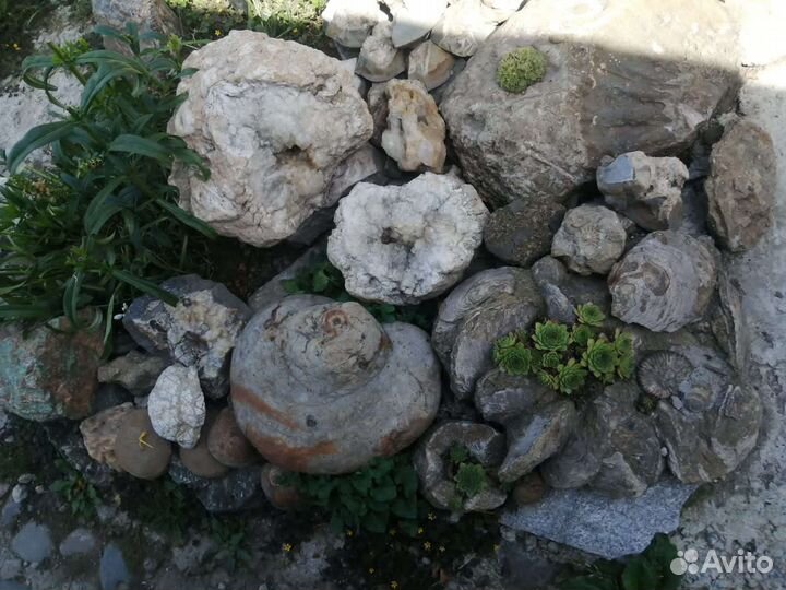 Окаменелости. Минералы. Септарии. Шары из камня