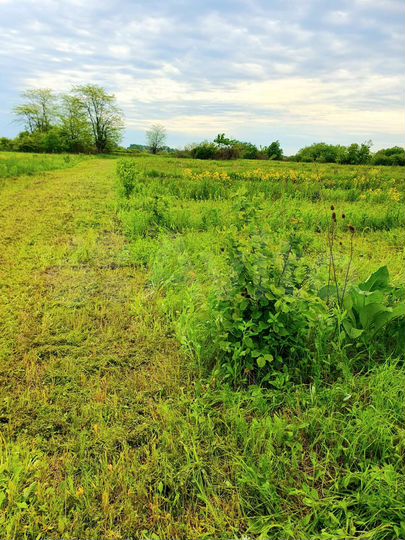 Участок 5,74 га (СНТ, ДНП)