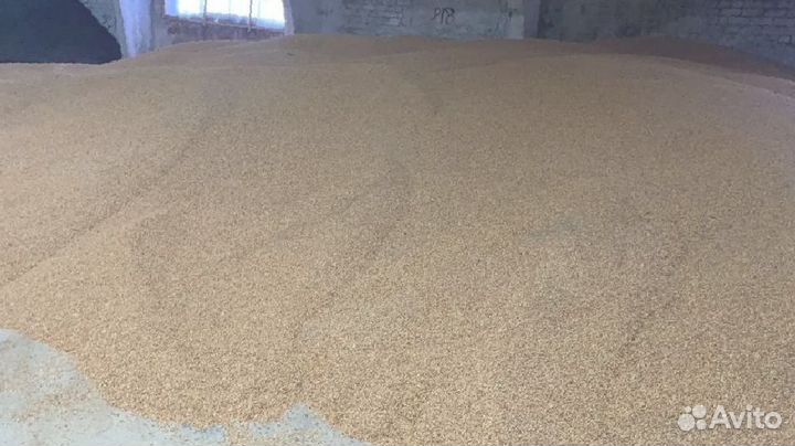 Кукуруза в мешках 40кг