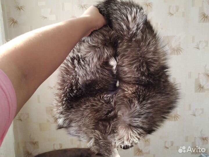 Меховой воротник