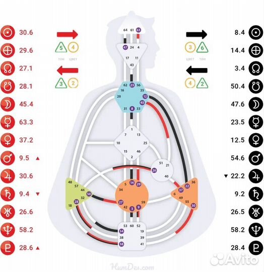 Консультация Дизайн Человека