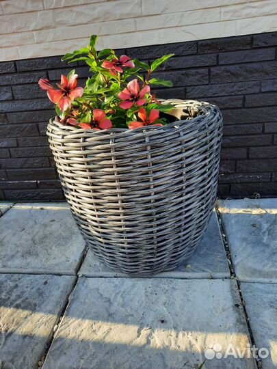 Кашпо для цветов