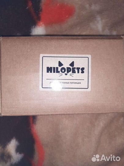 Шлейка с поводком