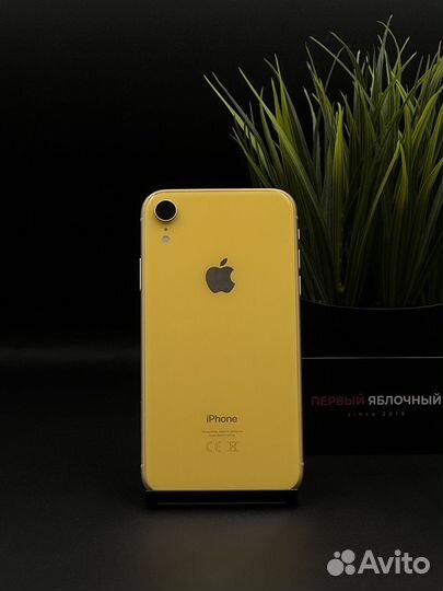 iPhone Xr, 128 ГБ