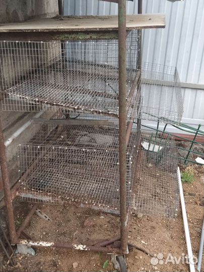 Клетки для перепелов бу