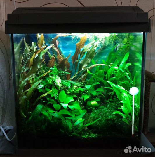 Аквариум 30л