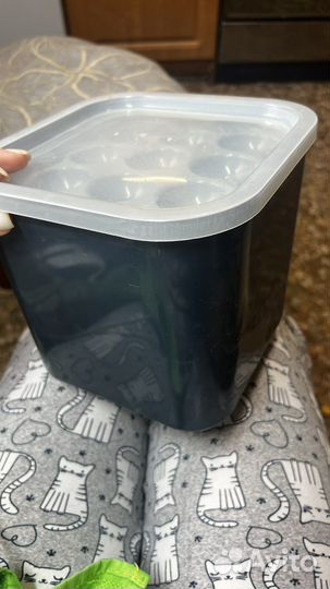 Проращиватель семян автоматический гидропонный