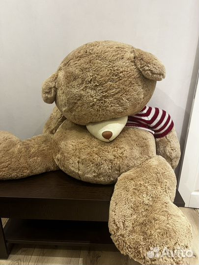 Большой мишка