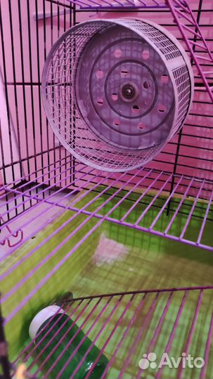 Клетка для грызунов, хомяков