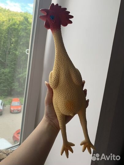 Курица пищалка для собак