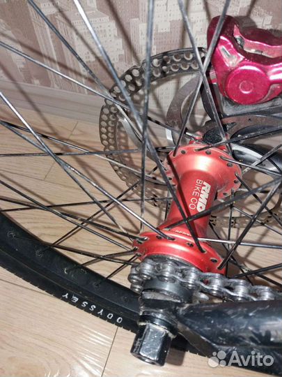 Custom MTB Mutantbikes 24