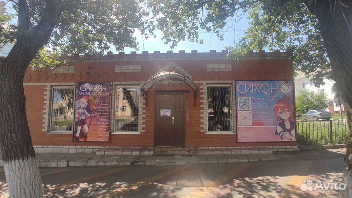 Продавец-консультант в аниме-магазин