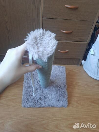 Когтеточка для кошек бу