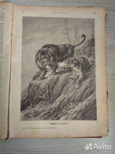 Антикварные книги